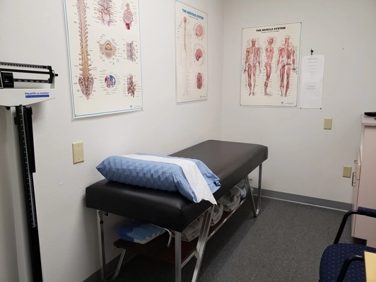 Chiropractic Clearwater FL Exam Bed